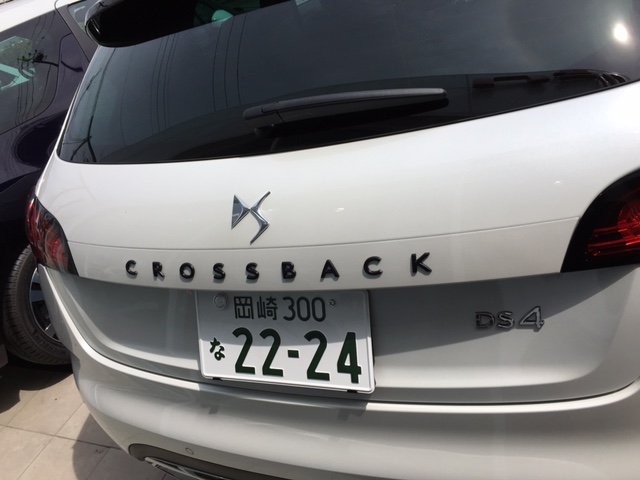 CROSSBACK