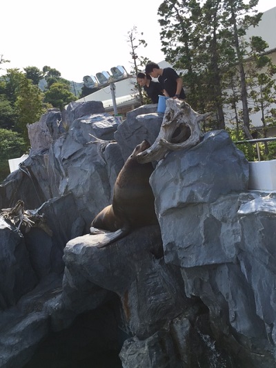 鳥羽水族館