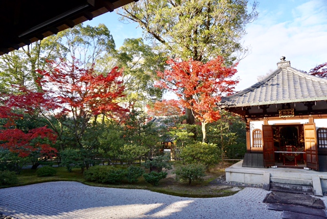 紅葉狩り in 京都 ①