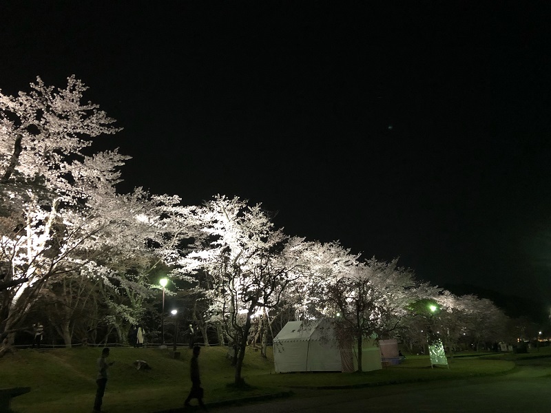 桜まつり in 水源公園