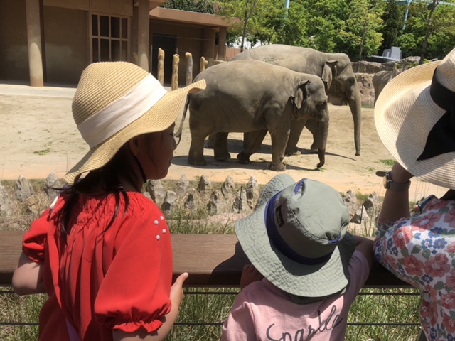 🐘東山動物園🐘