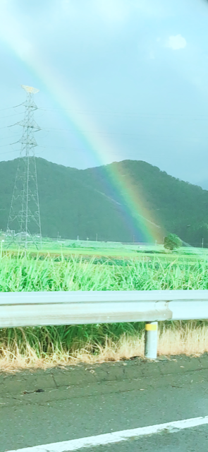 虹🌈