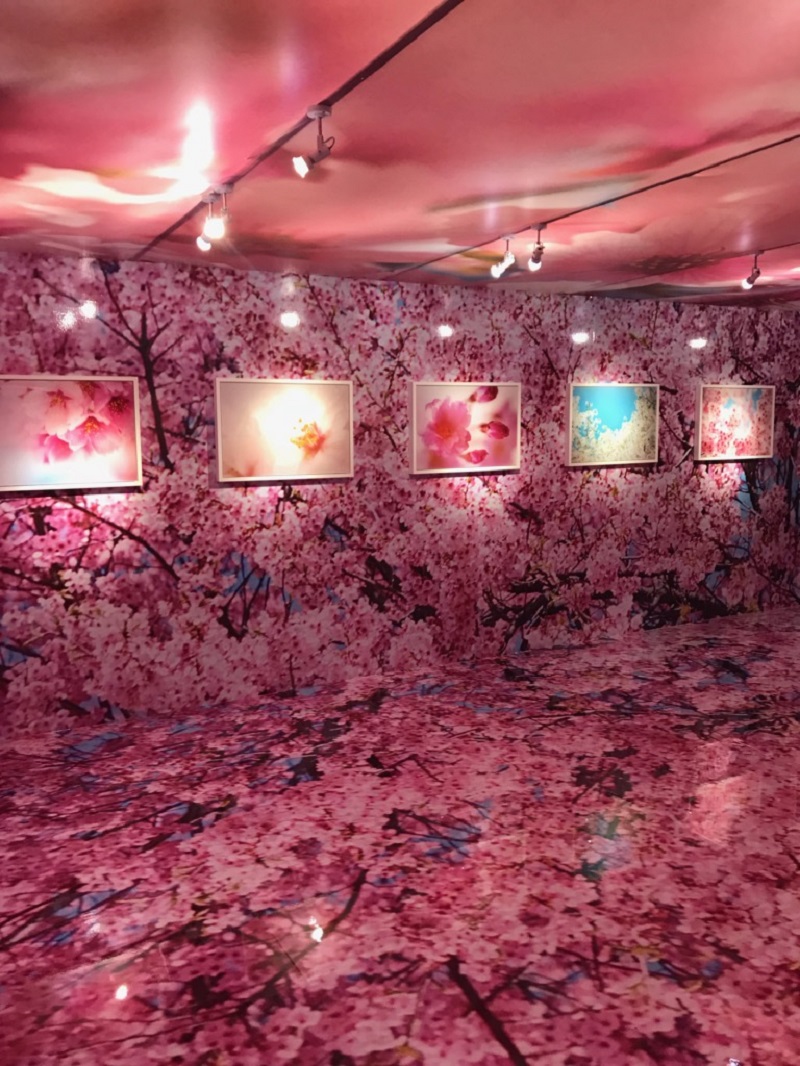 蜷川実花展