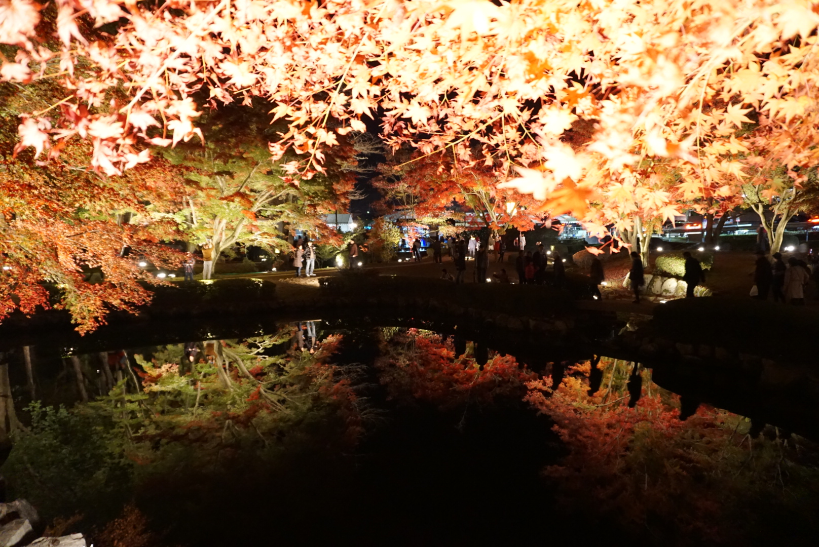 曽木公園🍁