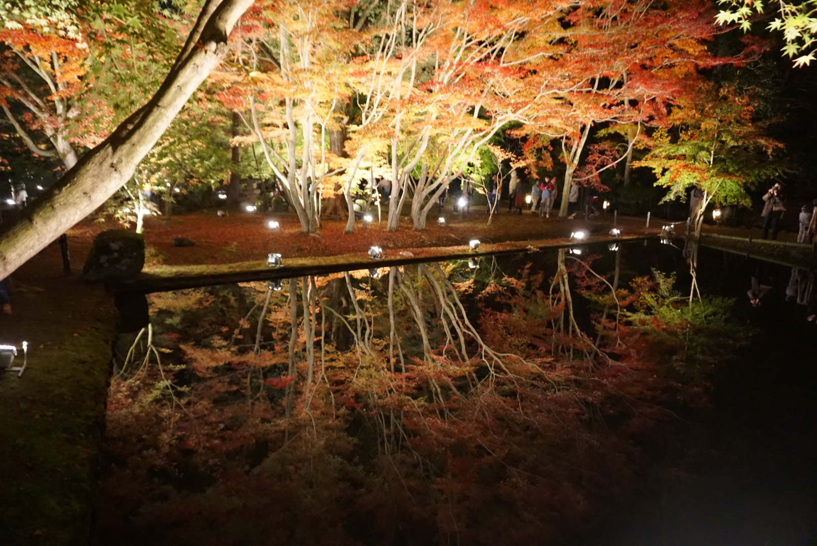 曽木公園🍁