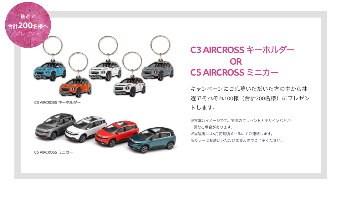 Citroën SPRING SUV キャンペーン🌸