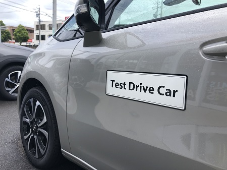 Test Drive Car