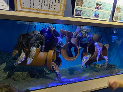 いつ振りかの水族館