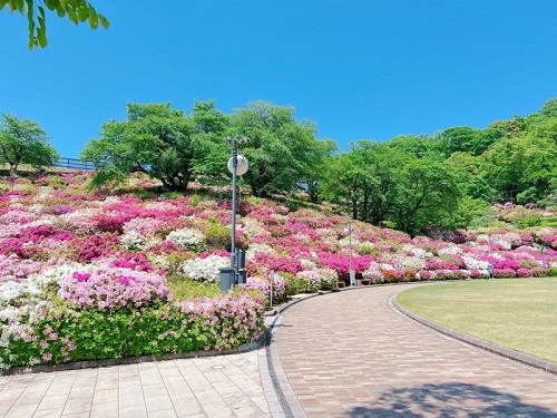 北陸旅③