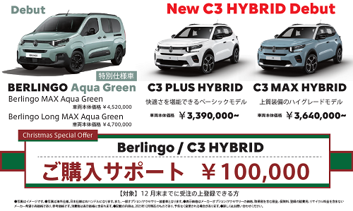 Christmas Special Offer🎄