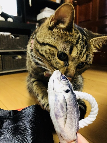 家族をご紹介♪