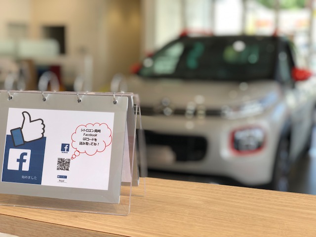 C3 AIRCROSS ORIGINS DEBUT