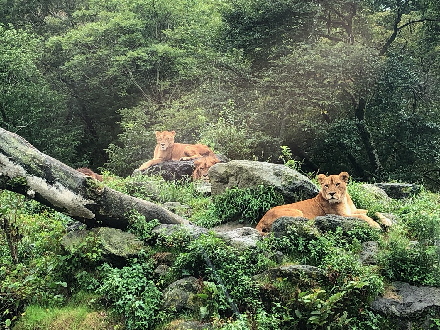 静岡旅☆
