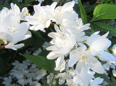 4月こんにちは🌸
