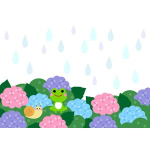 梅雨入りしました☔