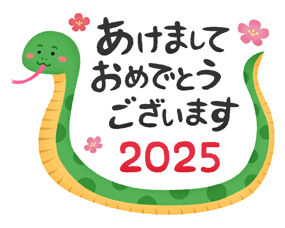 Happy New Year 2025🐍