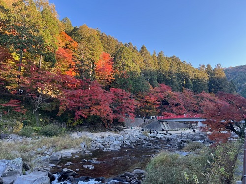 香嵐渓🍁
