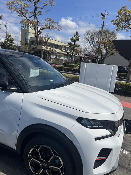 桜が咲き始めました🌸